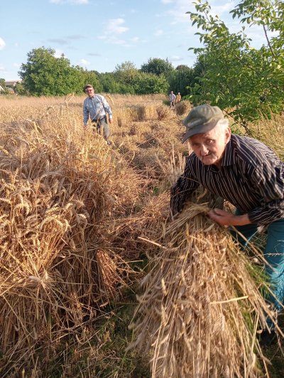 Zażynki w Rozięcinie 2025